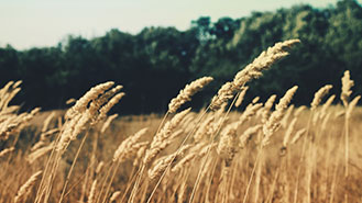 自动攻击网站工具下载